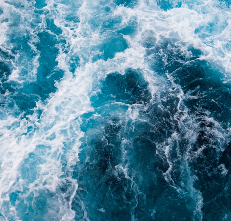 Stéphanie Bescond conseil orientation scolaire coaching parcoursup