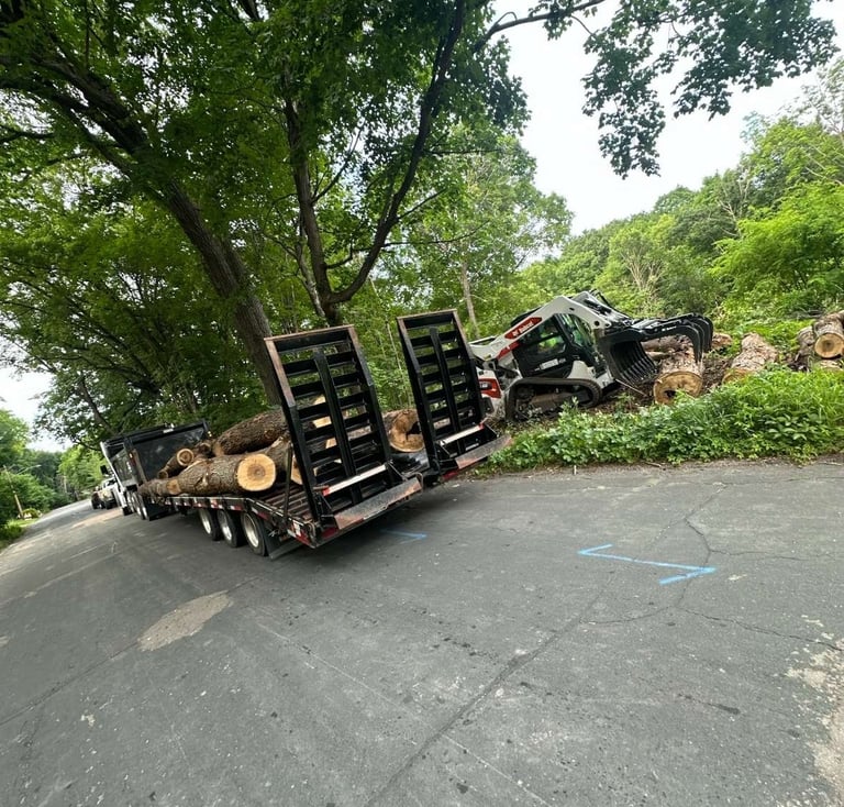 tree-trunk-being-removed.jpg