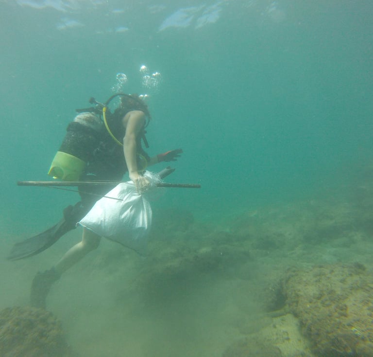 Cleanups sous-marins