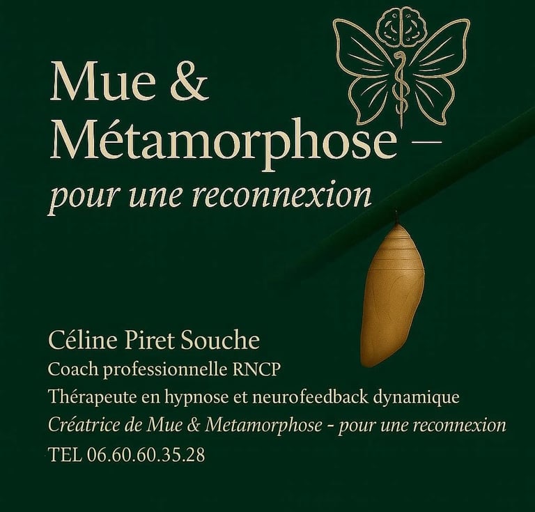 Mue & métamorphose image