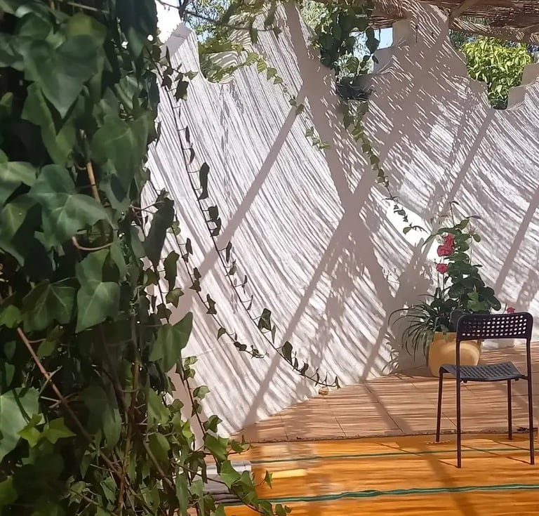 outdoor relaxing garden, representing online homeopathy consultation