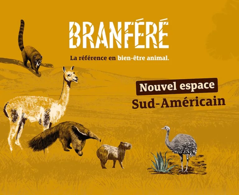 Ty Bayon - Activités pour vos P'tits Loups - Parc de Branféré