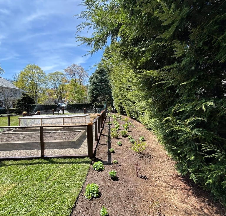 landscaping-along-fenced-in-garden.jpg