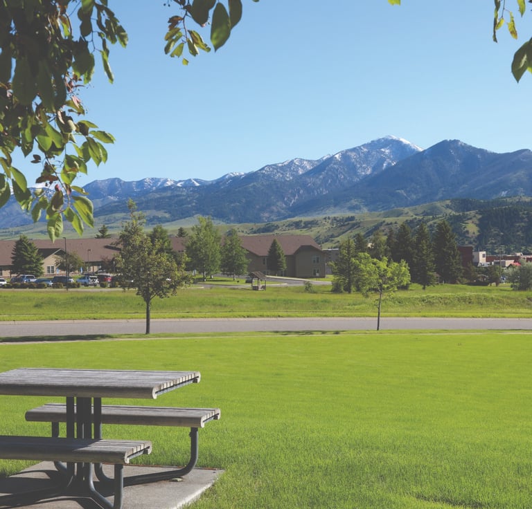 a picnic table with a picnic table and a picnic table