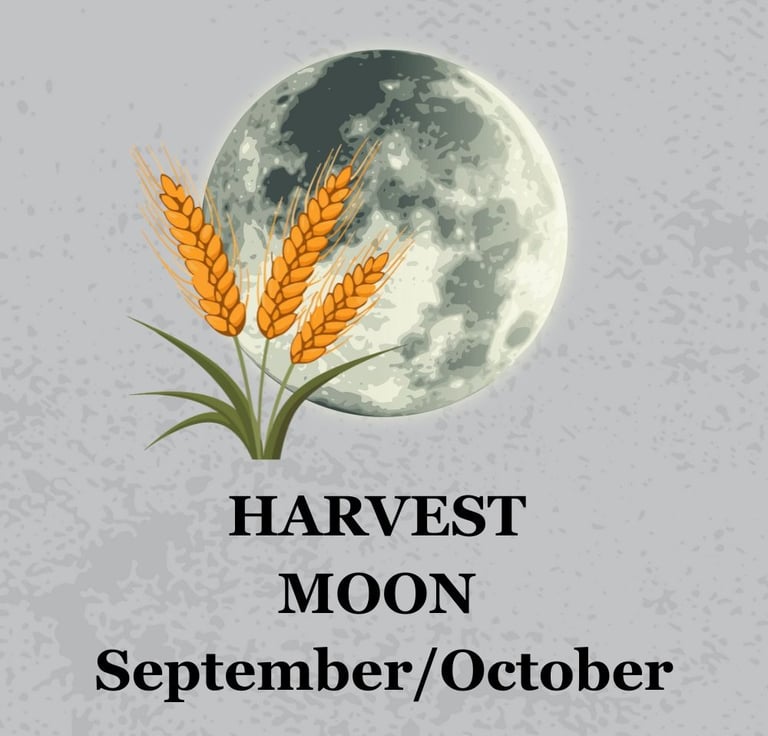 Harvest Moon Ritual Soul Sisters Tarot