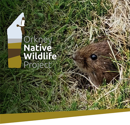 Orkney Native Wildlife Project branding design