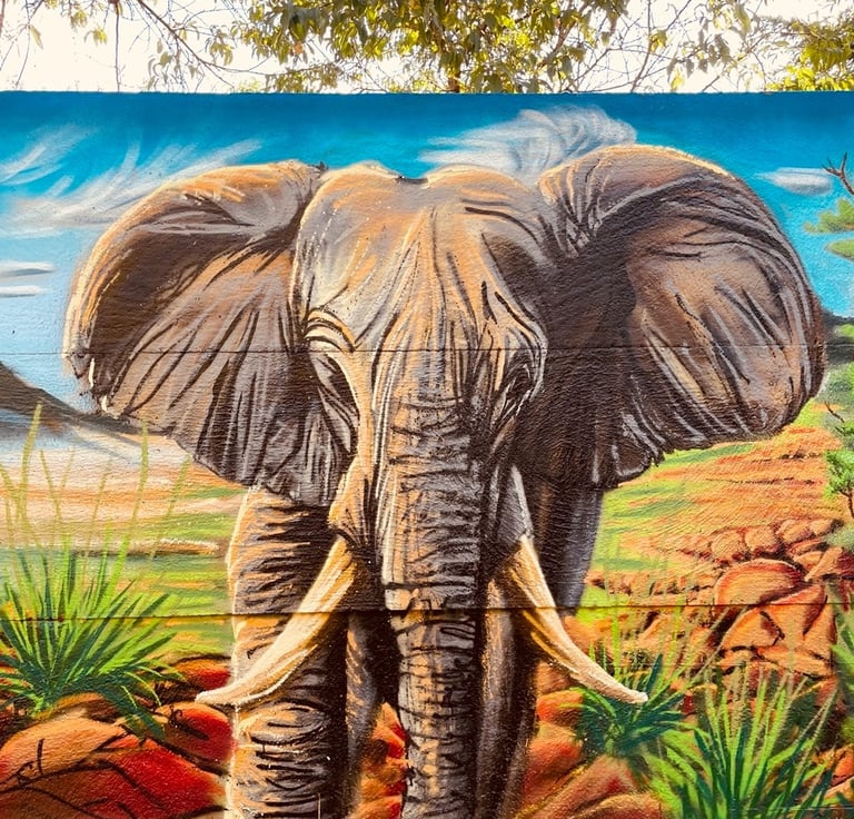 une peinture d'un éléphant en Namibie