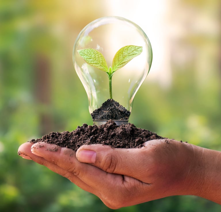 a person holding a light bulb in soil in their hands