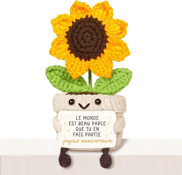 idee cadeau anniversaire