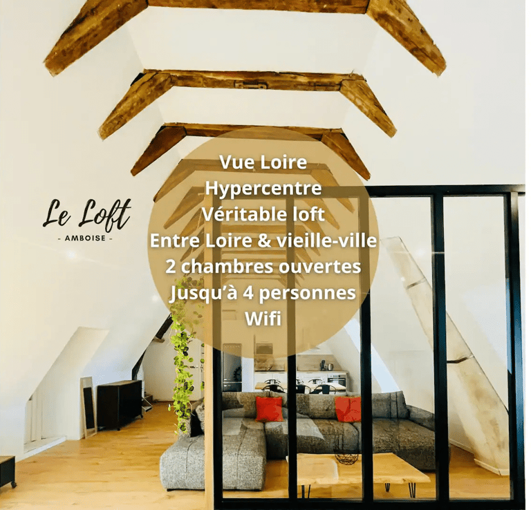 Logement type airbnb loft en Indre-et-Loire