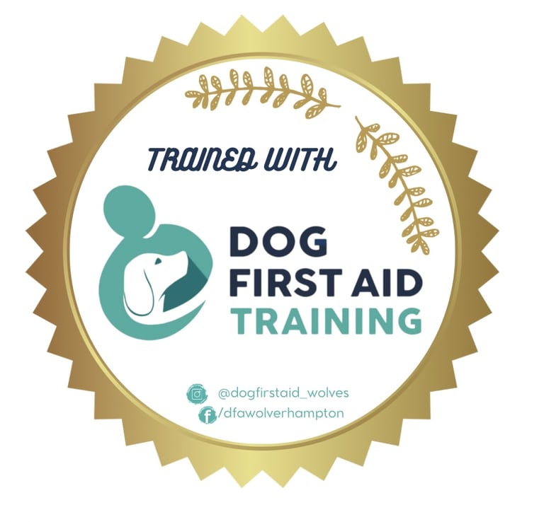 Dog first aid training badge 