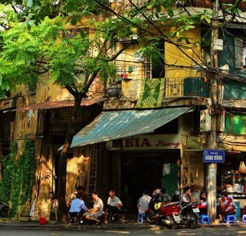 seamorny - vietnamese crab supplier