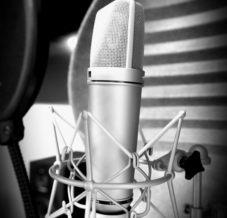 Kondensator mikrofon; Neumann U87 Ai