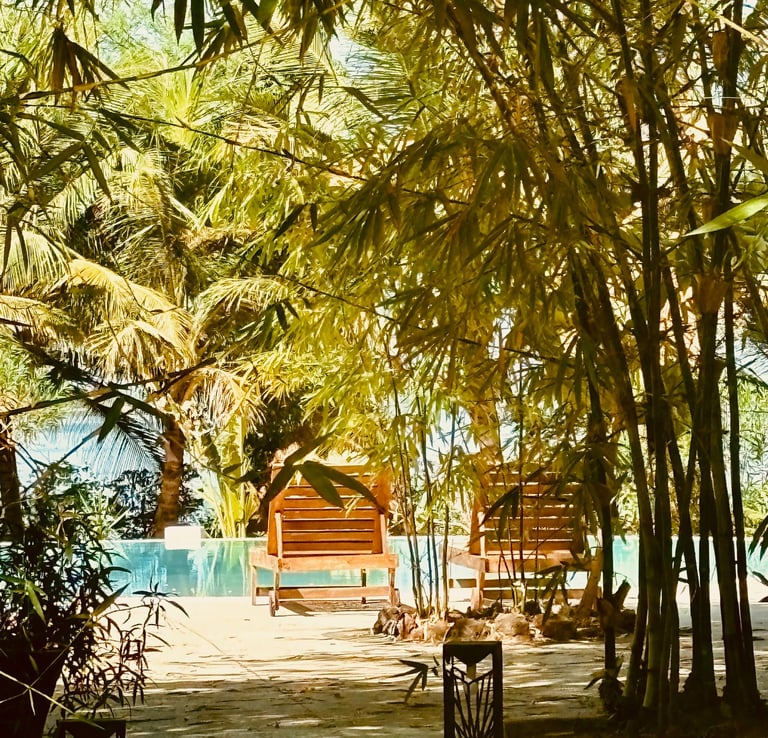 Vue de la piscine et du bolong dans le fond du boutique hôtel Maison Fimela au coeur du Sine Saloum