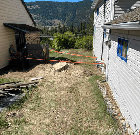 Hazard tree removal Chase