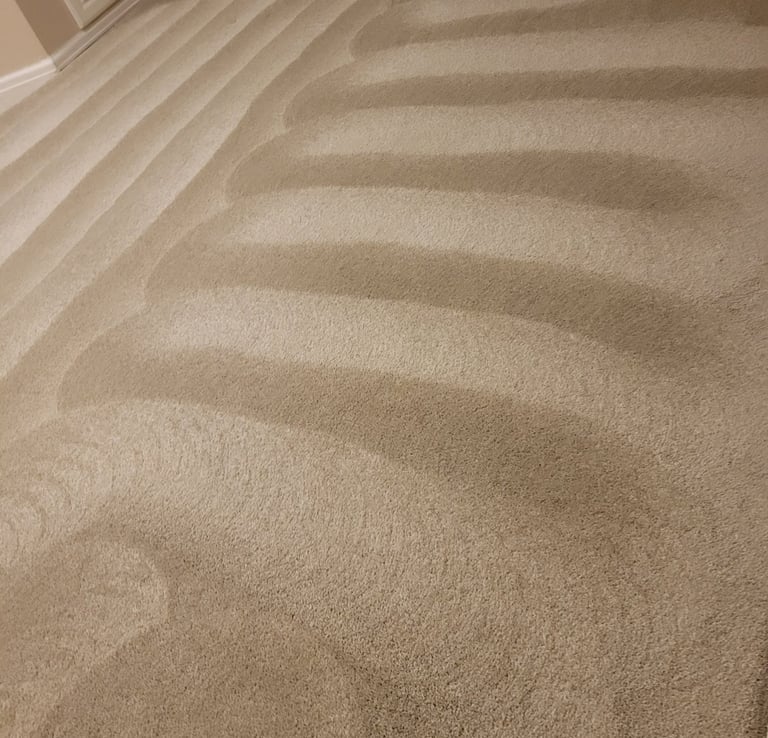 Beautiful Clean Carpet Results With King Organic Clean