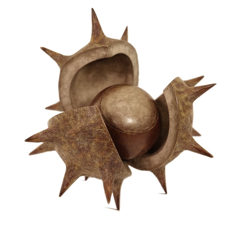 Bronze Sculpture Horse Chestnut Conker By Mark Richard Hall Sculptor