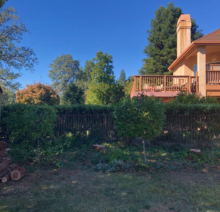 grassy yard with wood fence in front of two-story house