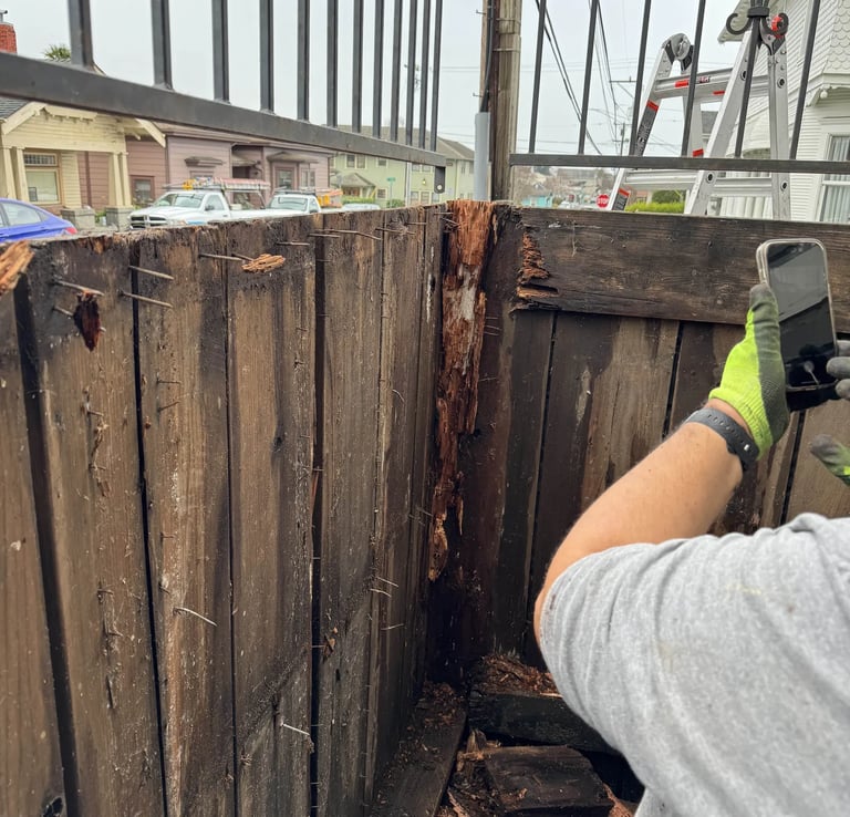 rotted wooden deck