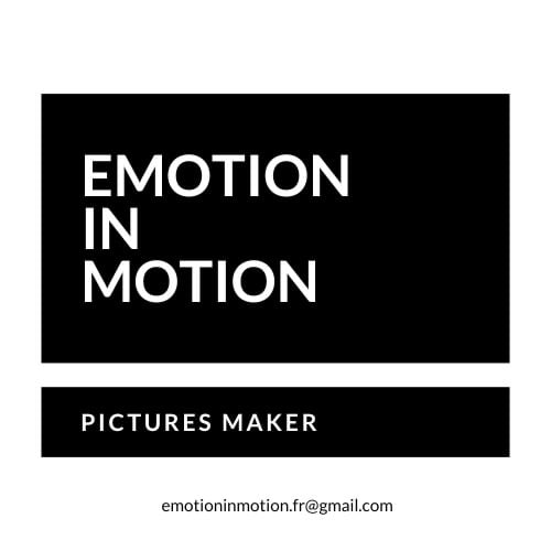 Logo Emotion in Motion FR