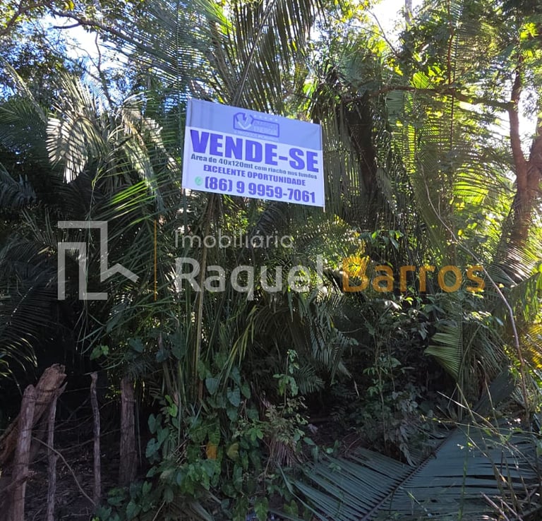 Terreno Rocador