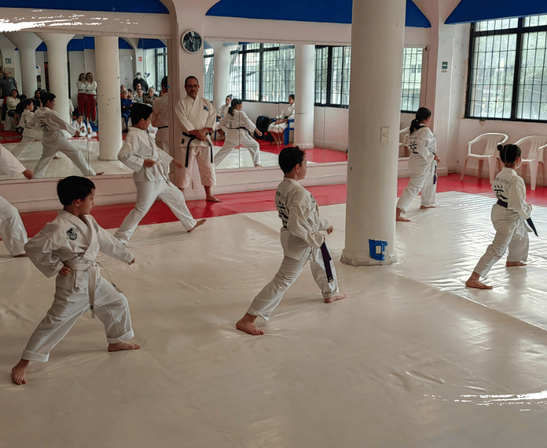Karate en Narvarte: El Aliado para el Regreso a Clases en CDMX