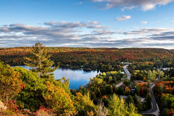A lake on a forested landscape in Haliburton County.