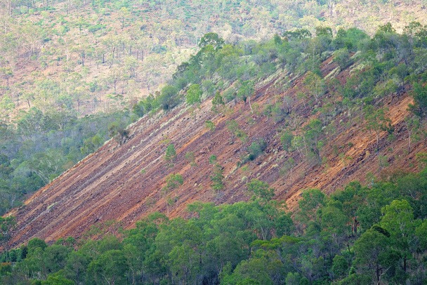 Tailings with some regrowth