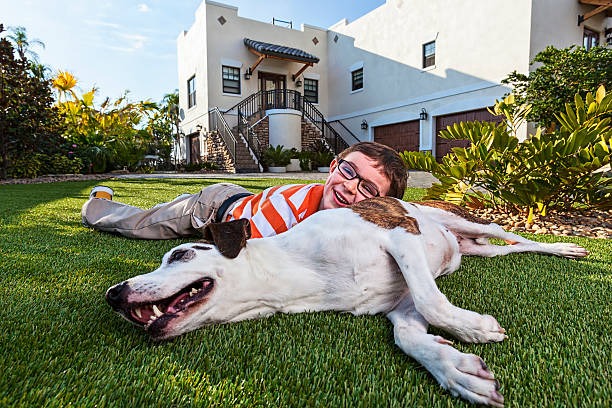 phoenix artificial turf for dogs