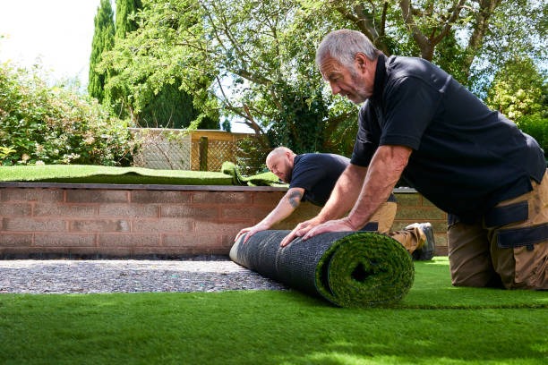 artificial turf installation phoenix