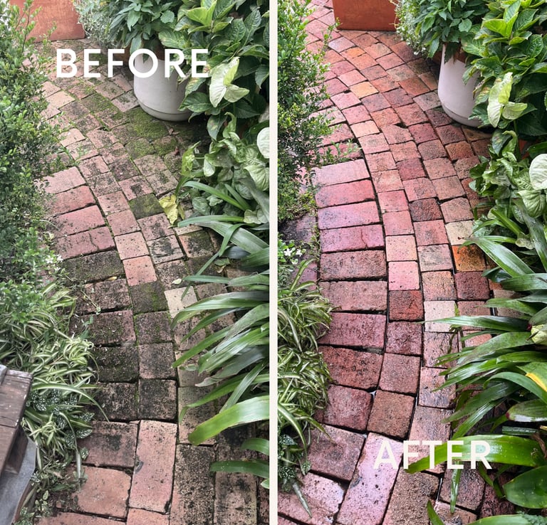Before and after comparison of pressure washing a mossy brick garden path surrounded by lush plants.