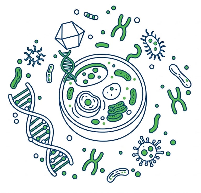 Korepetycje z biologii Online i w Gdańsku