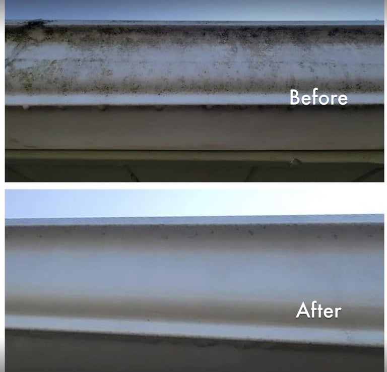 Before and after professional gutter cleaning completed on a home in Land O' Lakes, FL