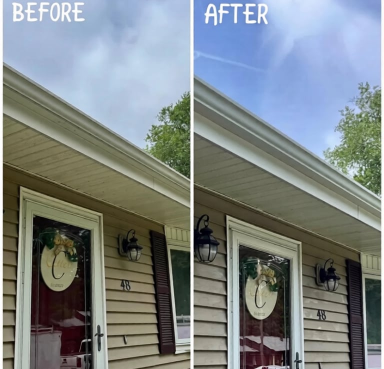 gutter cleaning land o lakes fl restoring appearance and removing algae