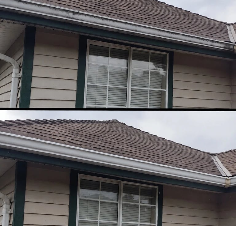 Gutter Cleaning service completed on a home in Trinity FL