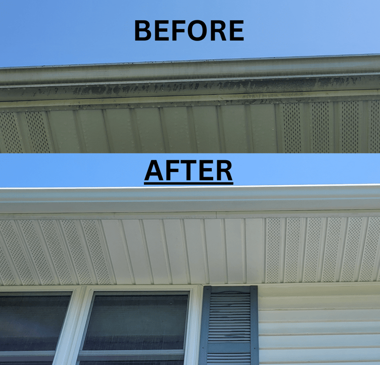 gutter soft wash holiday fl