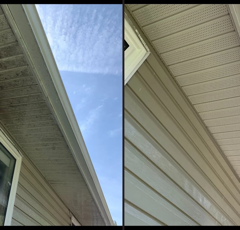 Gutter soft wash cleaning service for a home in Trinity FL