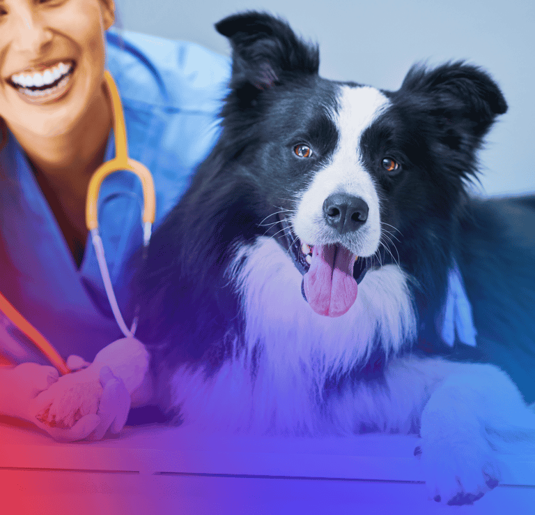 Exames para Pets ou animais de estimação