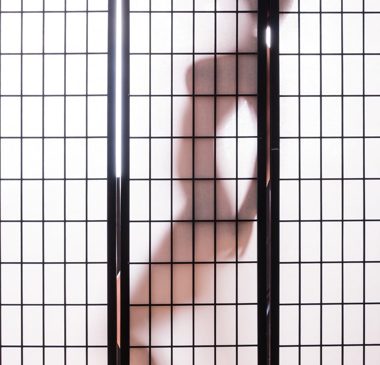 Boudoir - Desnudo Artístico