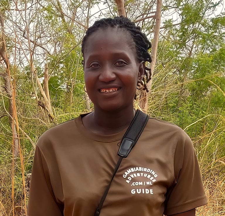Birdwatching in Gambia met deskundige gids