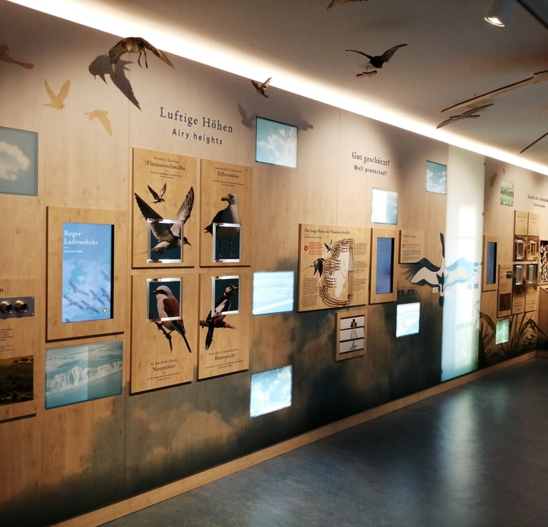 Ausstellung Nationalparkhaus Hiddensee