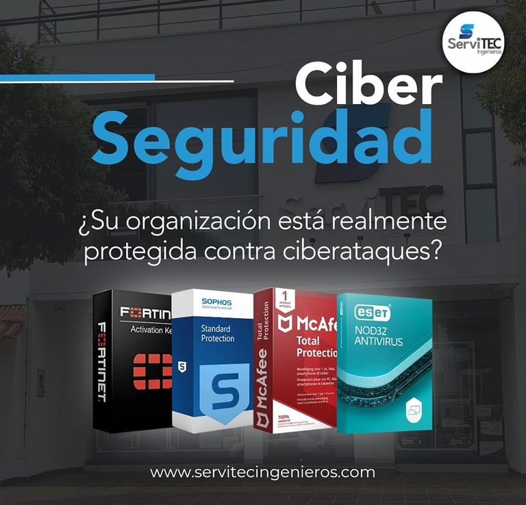 Soluciones de ciberseguridad para protección de redes y datos empresariales
