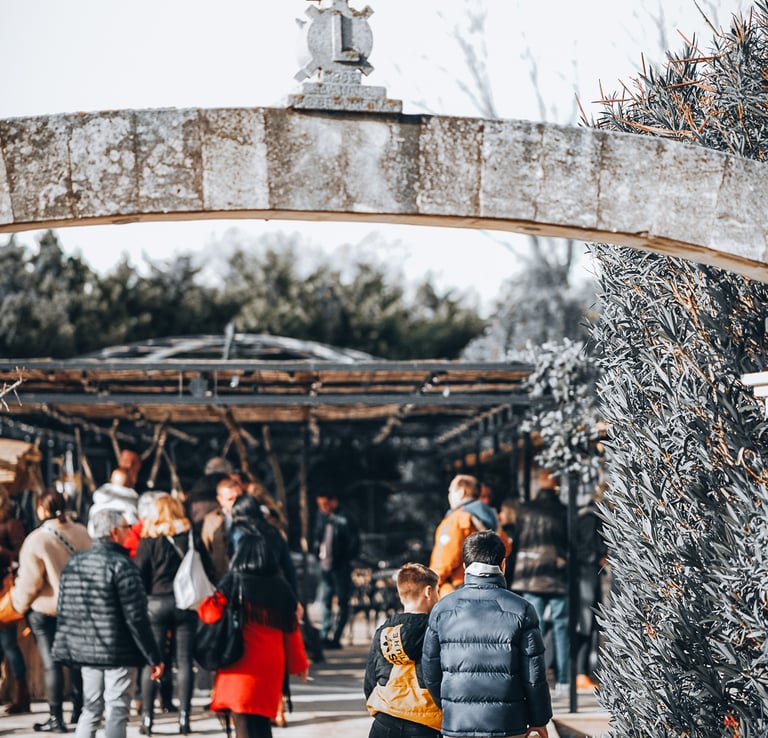 a group of people walking through a park