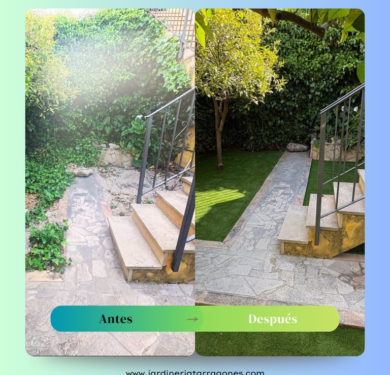Mantenimiento de jardín completo