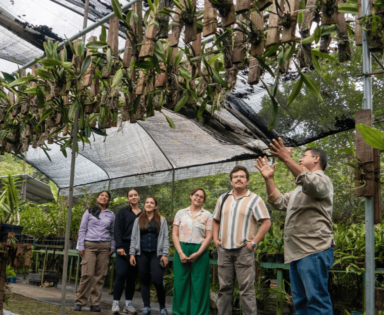 explicacion de las orquideas en la ruta de la prquidea coatepec