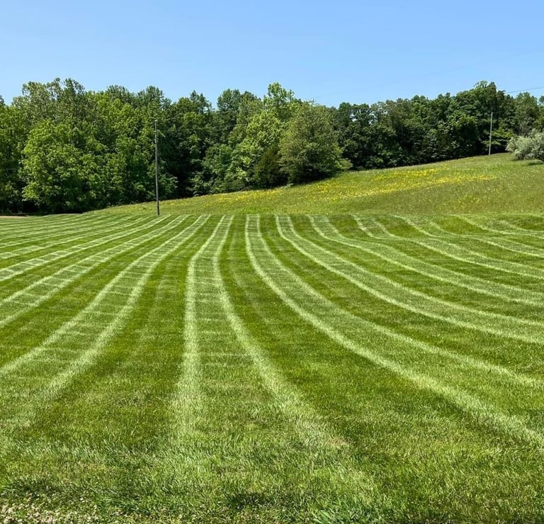 Freshly mowed lawn with clean striping from professional lawn care services by Valor Home Profession