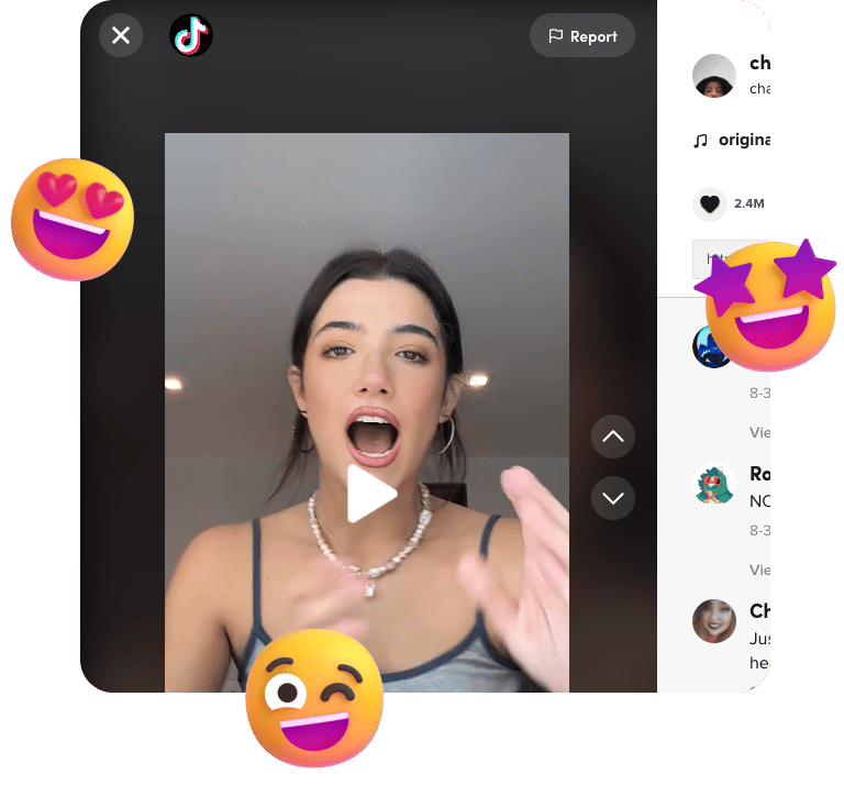TikTok Video Downloader