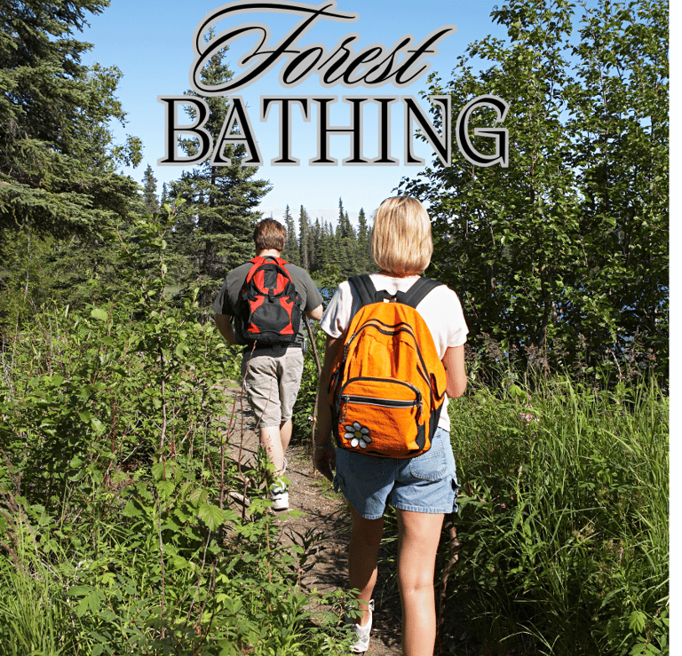 Bagno-di-foresta-camminare-nei-boschi-png