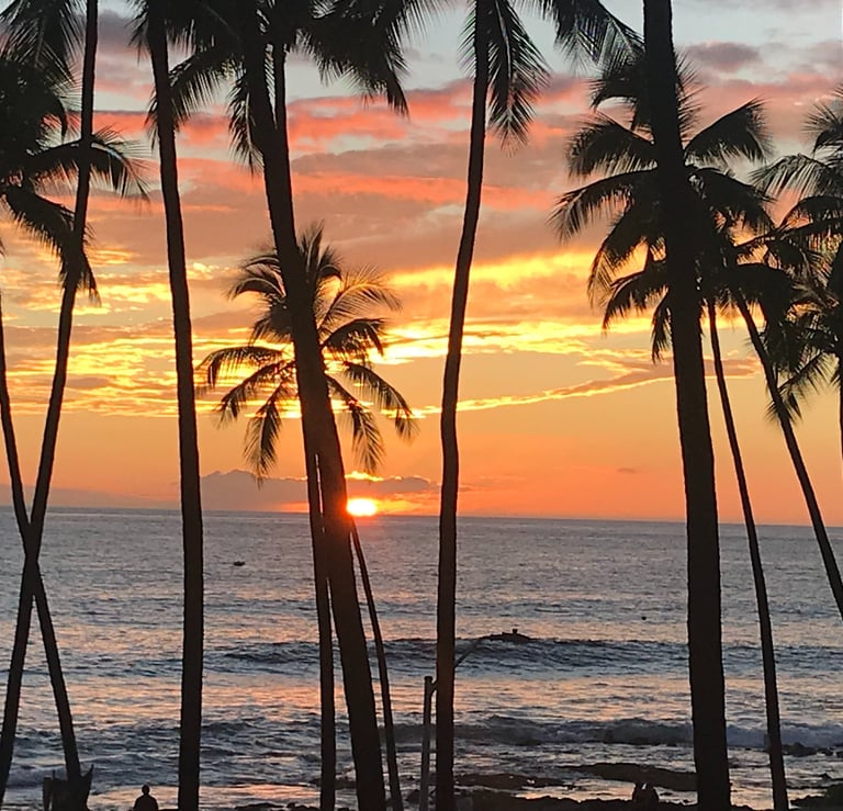 a sunset over the ocean with palm trees