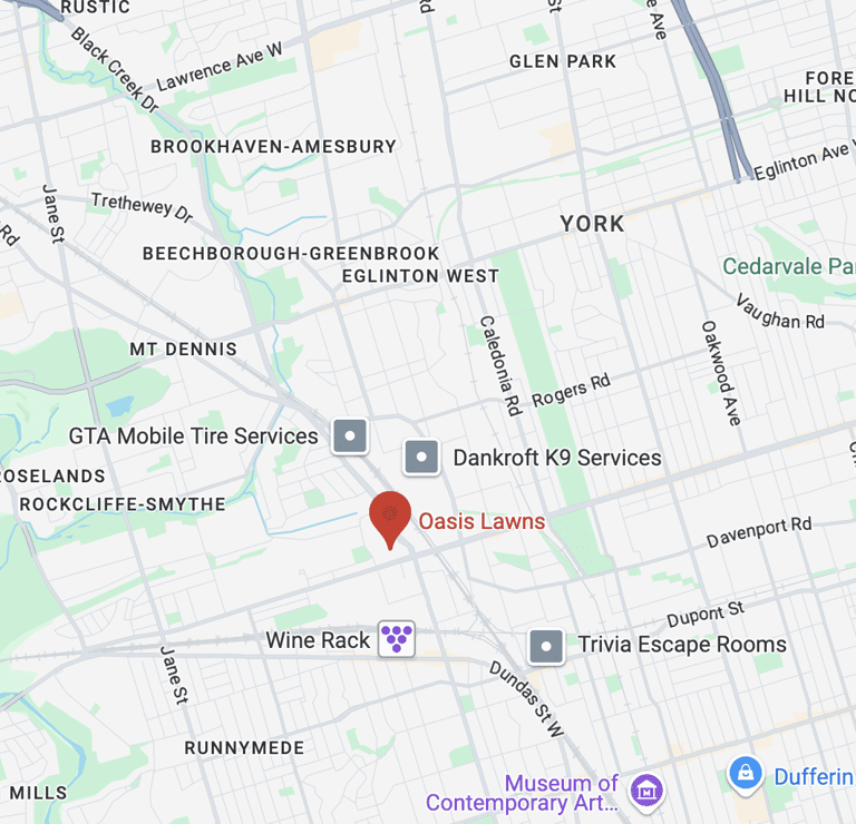 google maps view of oasis lawns headquarters in toronto.